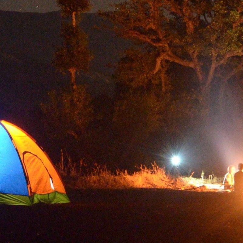 Camp bonfire